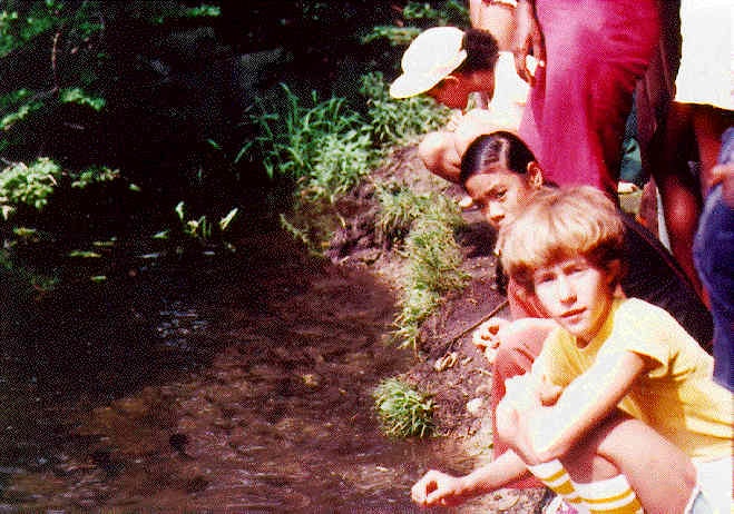 Campers find out what lives in a creek, August 1977