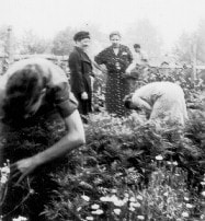 Students learning in a nature garden, School Nature League